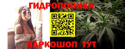 спиды Будённовск