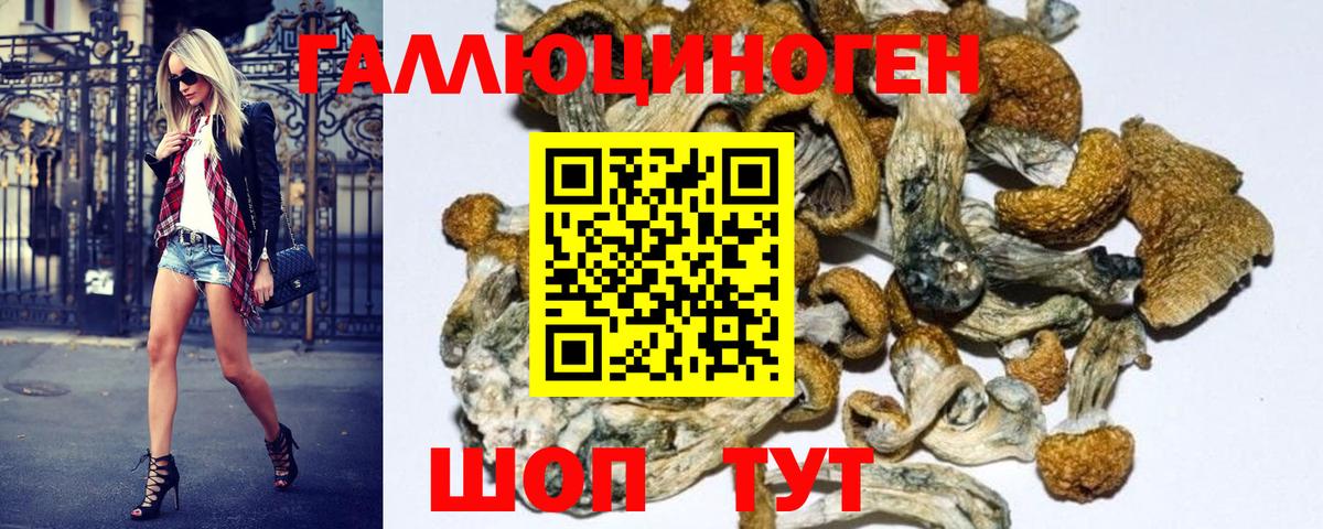Псилоцибиновые грибы Magic Shrooms  Псилоцибиновые грибы Psilocybine cubensis  Михайловск  Вход с VPN 