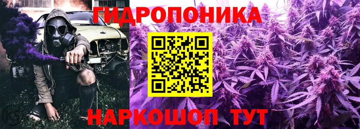 Каннабис OG Kush  Канабис Bruce Banner  Вход с VPN  Марихуана Amnesia  Михайловск 